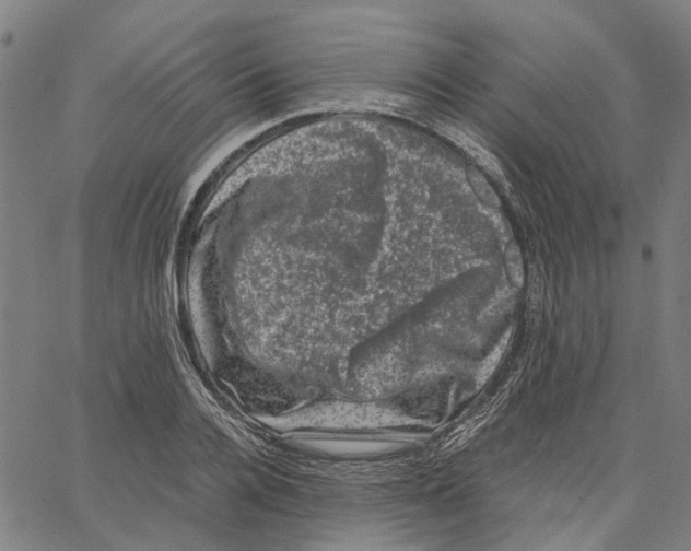 X0000062630936200601181716