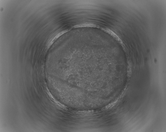 X0000062630937200601181716