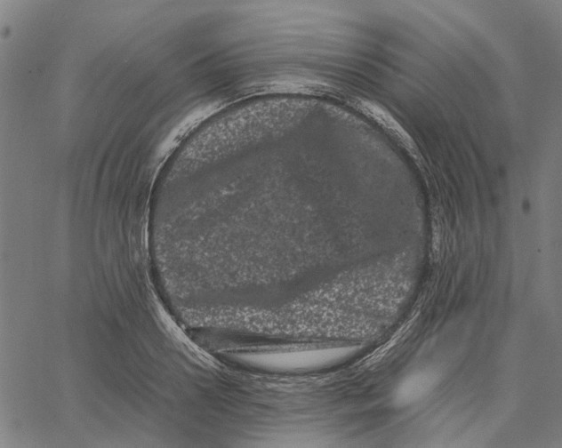 X0000062630938200601181716