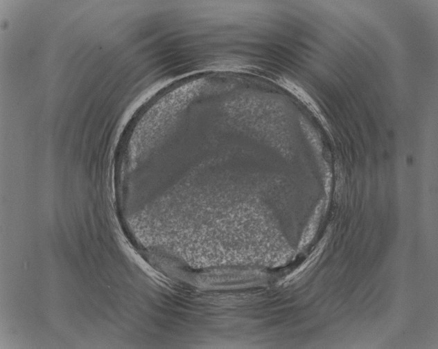 X0000062630939200601181716