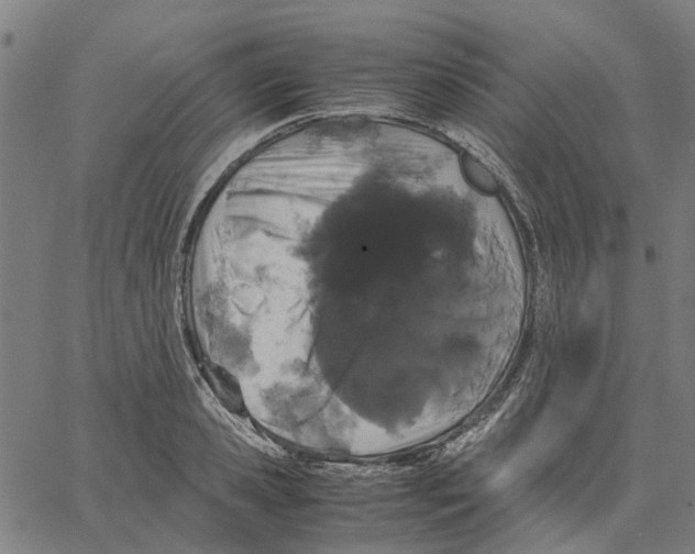 X0000062630941200601181716