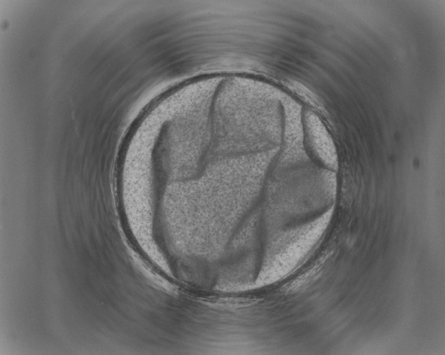 X0000062630942200601181716