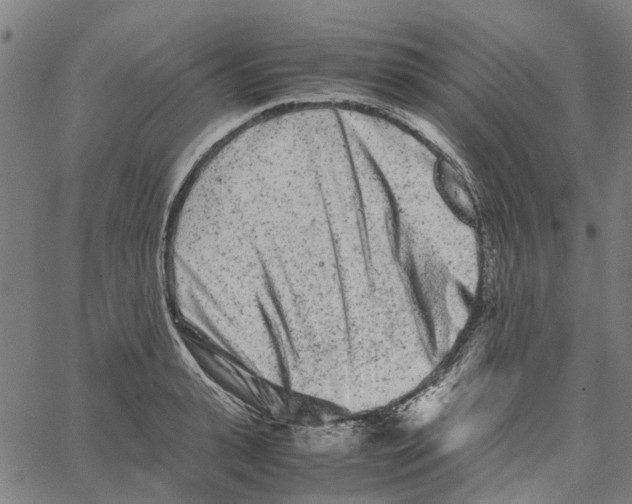 X0000062630943200601181716