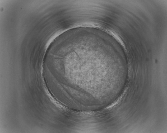 X0000062630944200601181716