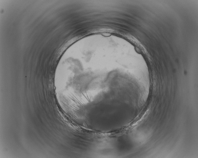 X0000062630945200601181716