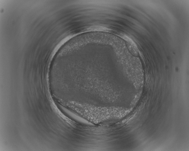 X0000062630947200601181716