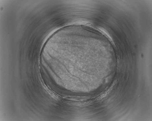 X0000062630948200601181716