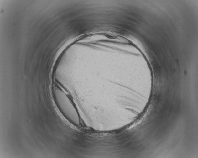 X0000062630949200601181716