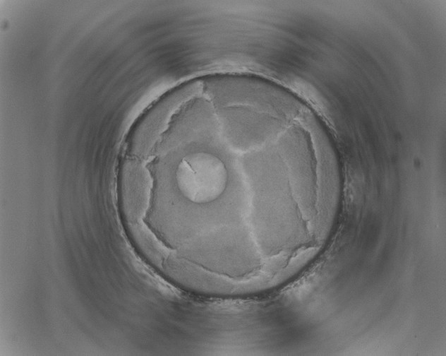 X0000062630950200601181716