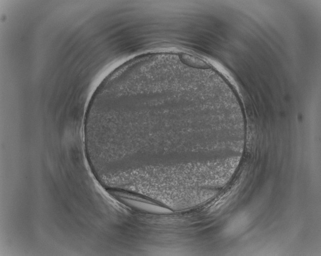 X0000062630951200601181716