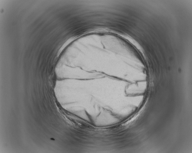 X0000062630953200601181716