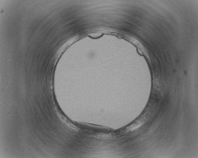 X0000062630954200601181716