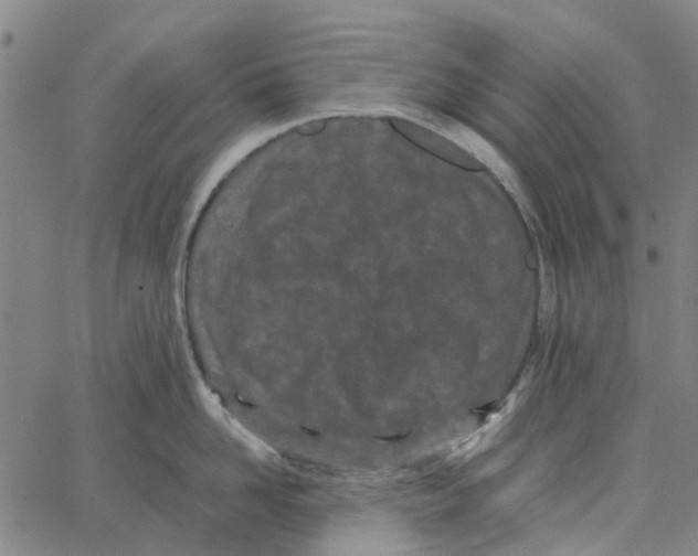 X0000062630958200601181716