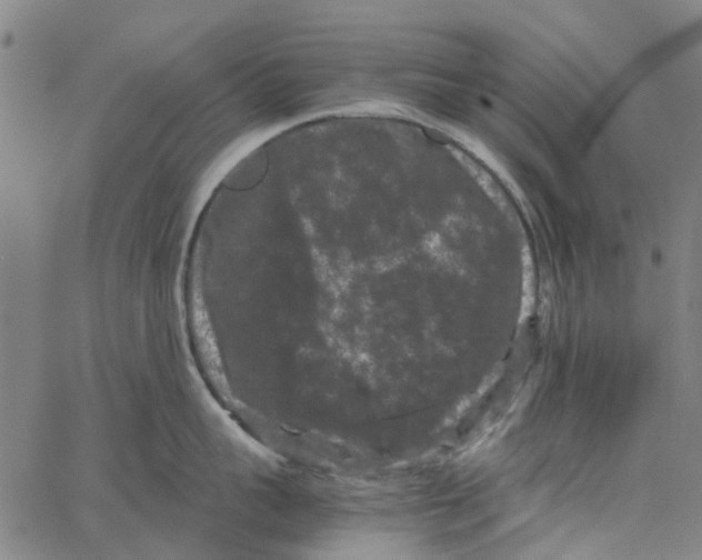 X0000062630959200601181716