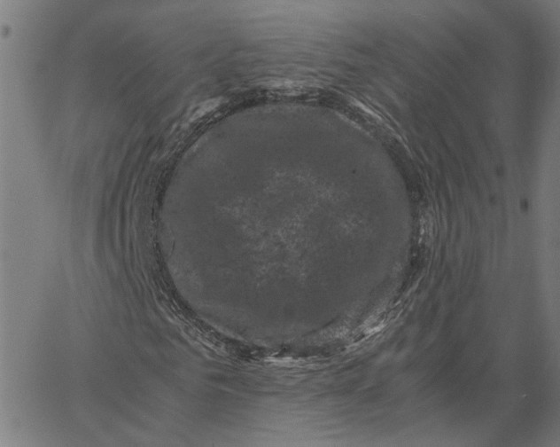 X0000062630961200601181716