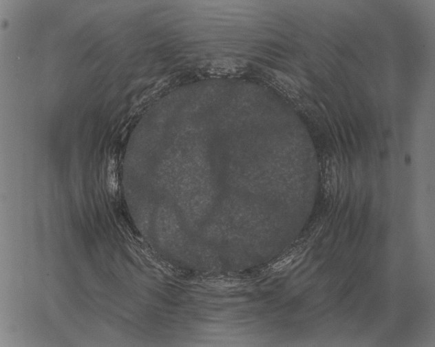 X0000062630962200601181716