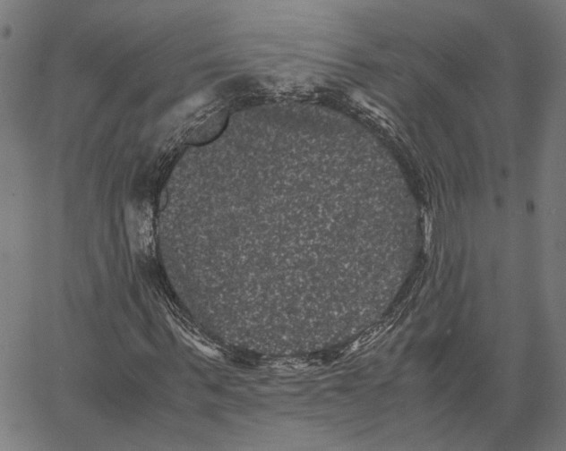 X0000062630963200601181716