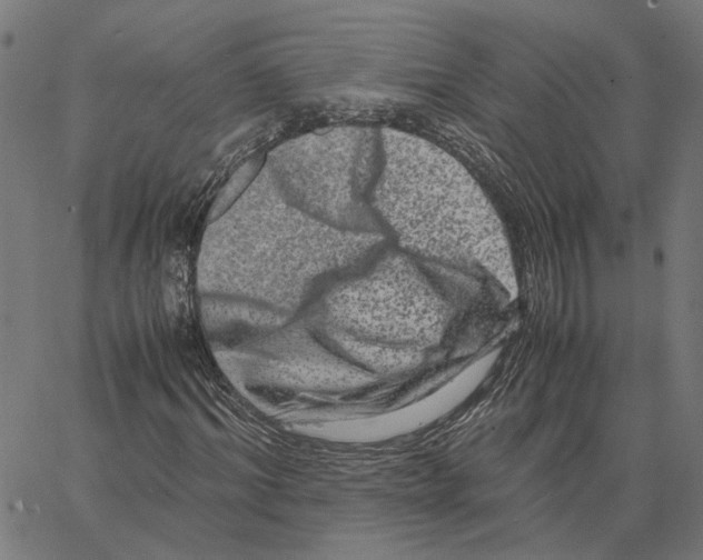 X0000062630964200601181716