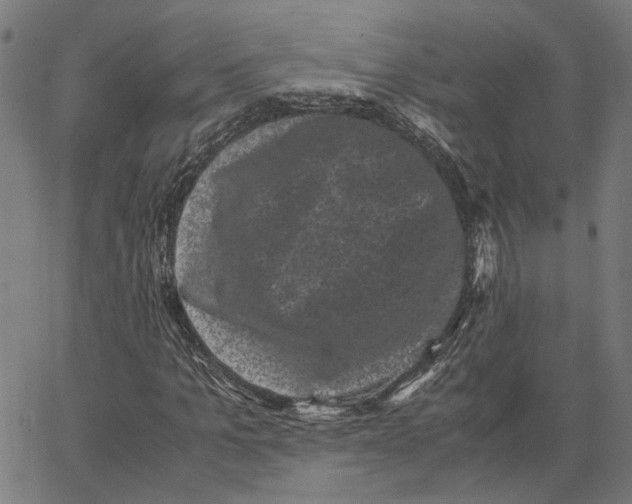 X0000062630965200601181716