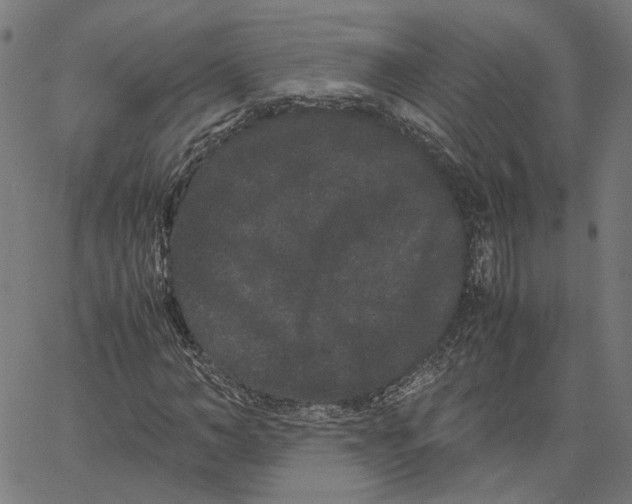 X0000062630966200601181716