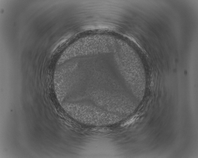 X0000062630967200601181715