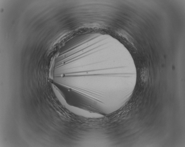 X0000062630968200601181715