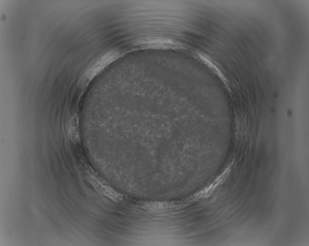 X0000062630970200601181715