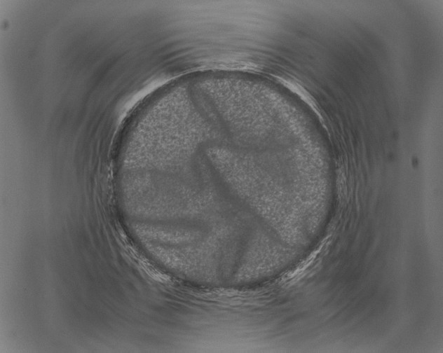 X0000062630971200601181715