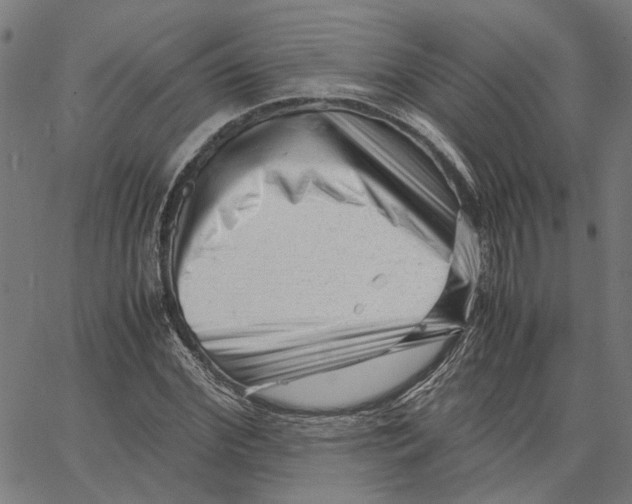 X0000062630972200601181715