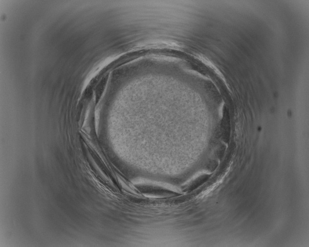 X0000062630973200601181715