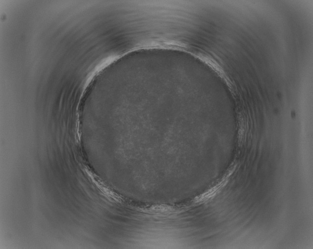 X0000062630974200601181715