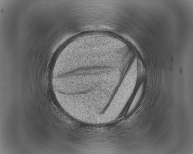 X0000062630975200601181715