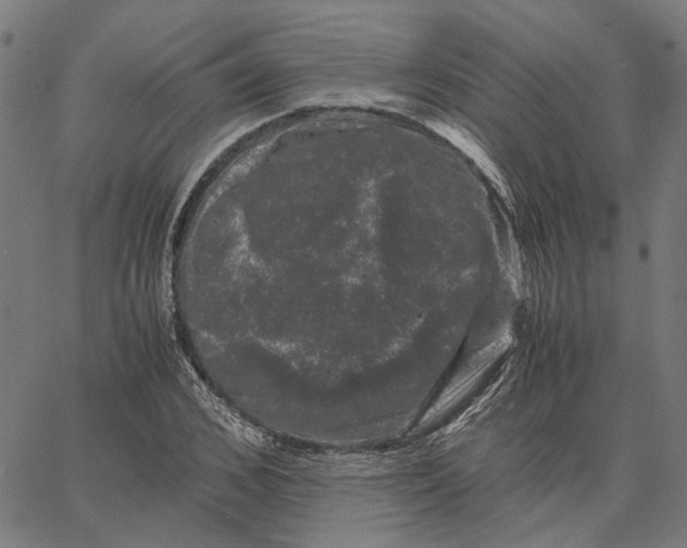 X0000062630976200601181715