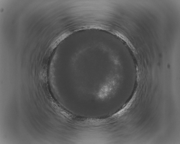 X0000062630977200601181715