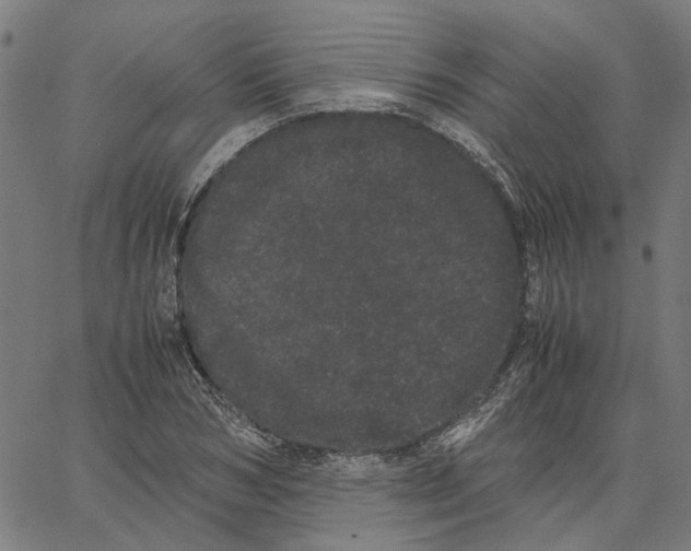 X0000062630978200601181715