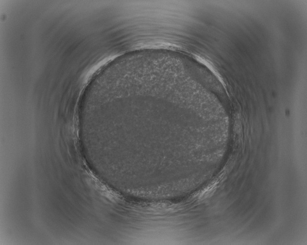 X0000062630979200601181715