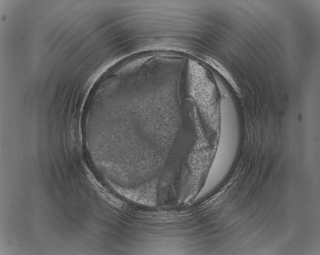 X0000062630980200601181715