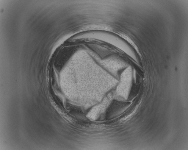 X0000062630981200601181715