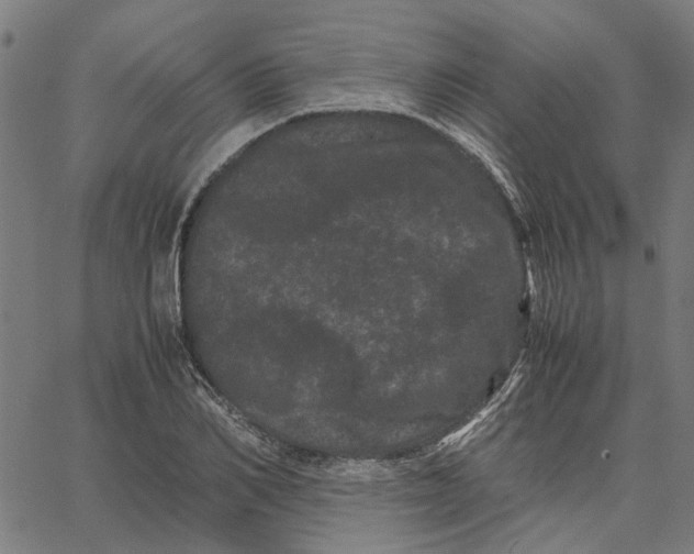 X0000062630982200601181715