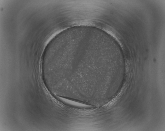 X0000062630983200601181715