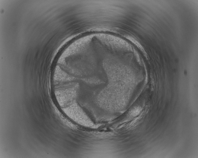 X0000062630984200601181715