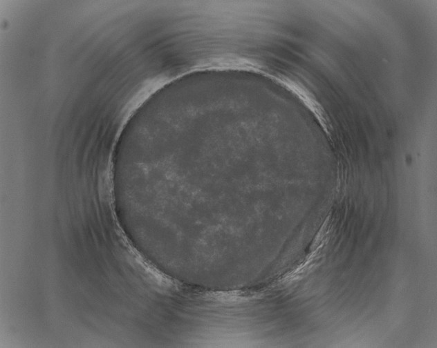 X0000062630990200601181715