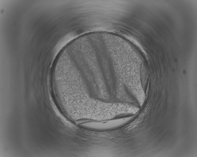 X0000062630991200601181715