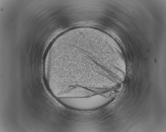 X0000062630992200601181715