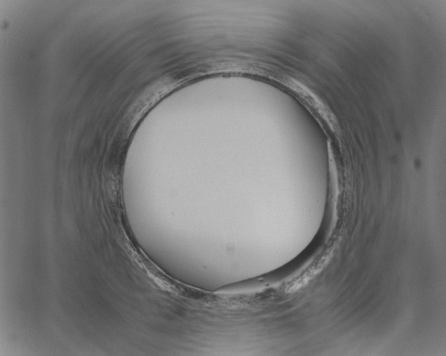 X0000062630993200601181715