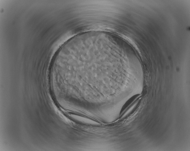 X0000062630995200601181715