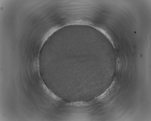 X0000062630998200601181715