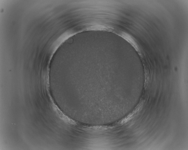 X0000062631000200601181715