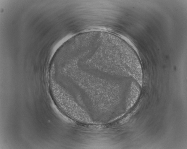 X0000062631003200601181715