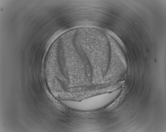 X0000062631004200601181715